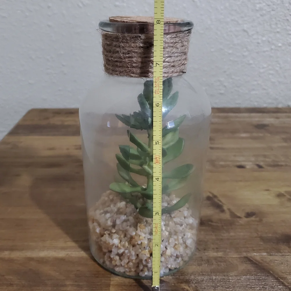 Faux Succulent Plant in Glass Cork Bottle - Boho Farmhouse Home Accent Decor